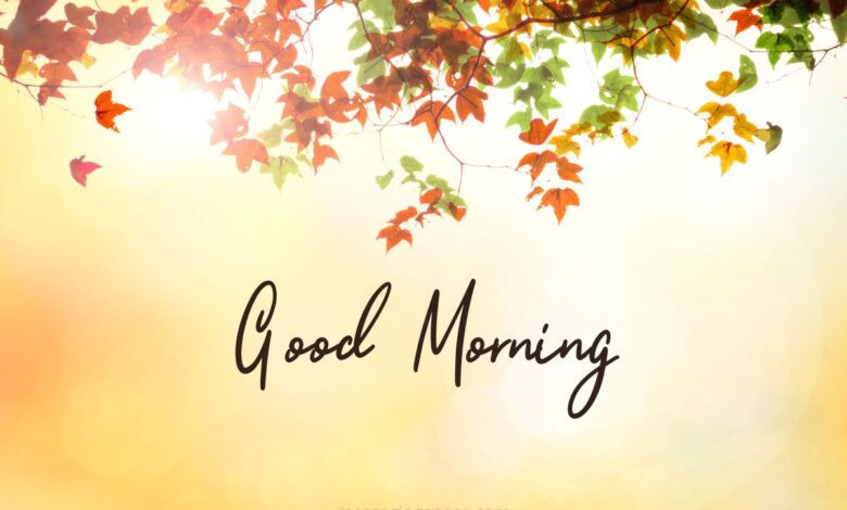 550+ Good Morning Wishes Text Messages & Quotes