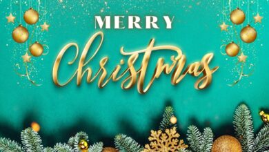 Merry Christmas Quotes For Sister - Christmas Text Quotes For Sister