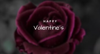 400+ Happy Valentines Messages, Text Wishes, Quotes, Greetings
