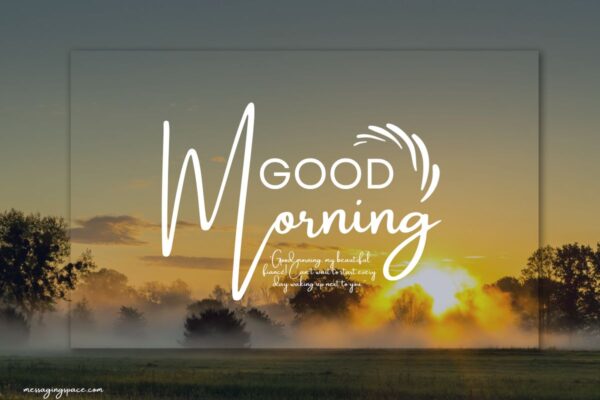 220+ Romantic Good Morning Wishes for Fiance